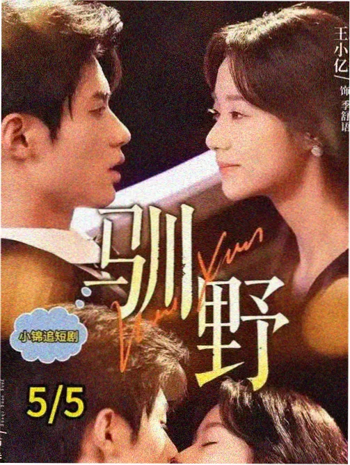 韩国青春电影 国际电影节